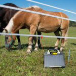 Na pašniku s konji je električni pastir Horizont Farmer AS50 Solar, kateri je priključen na električni trak.