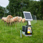 Elektricni pastir Horizont Hotshock A300 v delovanju na pašniku drobnice. Zavarovan je z zaščitno škatlo za pastija ter je prkoplen na solarni panel.