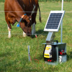 Električni pastir Horizont Ranger AN490 je priklopen na solarni panel ter električno žico.