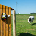 Električni pastir Horizont Ranger AN490 fiksiran na leseni objekt. Priključni kabel je pripet na električno žico. Na pašniku je krava.