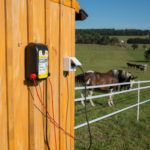 Kombiniran električni pastir Horizont Trapper AN120 na pašniku s konji.