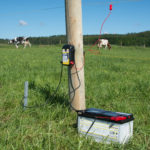 Električni pastir Horizont Trapper AN45 je priklopljen na električno žico, polnilno baterijo, ozemljitveno palico ter je fiksiran na lesen drog.