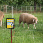 Električni pastir Horizont Turbomax AN800 Dual na palici ob pašniku za ovce