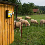 Električni pastir Horizont Turbomax N143 je povezan z mrežo za drobnico.