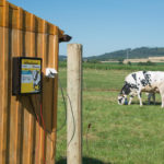 Električni pastir Horizont Turbomax N143 varuje govedo v električni ograji z žico.