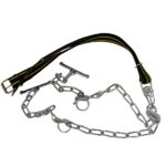 Naveza z dvojno verigo