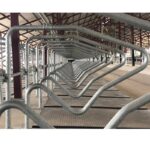 Pregrade za ležalne bokse Kurtsan