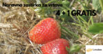 slama_lenabox_zastirka_za_vrtove