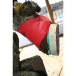 Masa za parklje Block Bond - slika 3