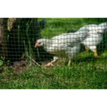 Mreža za perutnino in male živali ali vrt, 90 cm Fix - neelektrična - slika 4