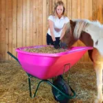 Samokolnica ROTO roza 120L