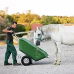 Samokolnica kiper ROTO zelena 350l - slika 2