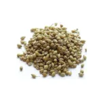 Koriander v zrnju 100g