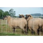 Mreža za drobnico 90 cm Turbomax - slika 6