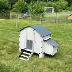 Kokošnjak za 4 kokoši, Harmony by Chick'A