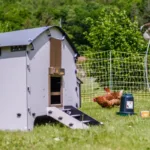 Kokošnjak za 4 kokoši, Harmony by Chick'A - slika 7