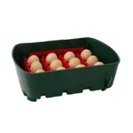 Inkubator za jajca River, pol-avtomatski, 12 jajc - slika 6