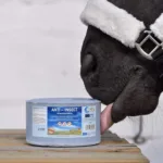 Solni kamen Anti insect - slika 2