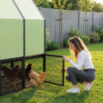 Kokošnjak za 6-8 kokoši RUN-CHICKEN, Coop 2.0, mint - slika 3
