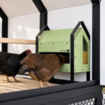 Run Chicken GO Feeder, pametni avtomatski krmilnik za kokoši - slika 4