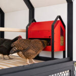 Run Chicken GO Feeder, pametni avtomatski krmilnik za kokoši - slika 13